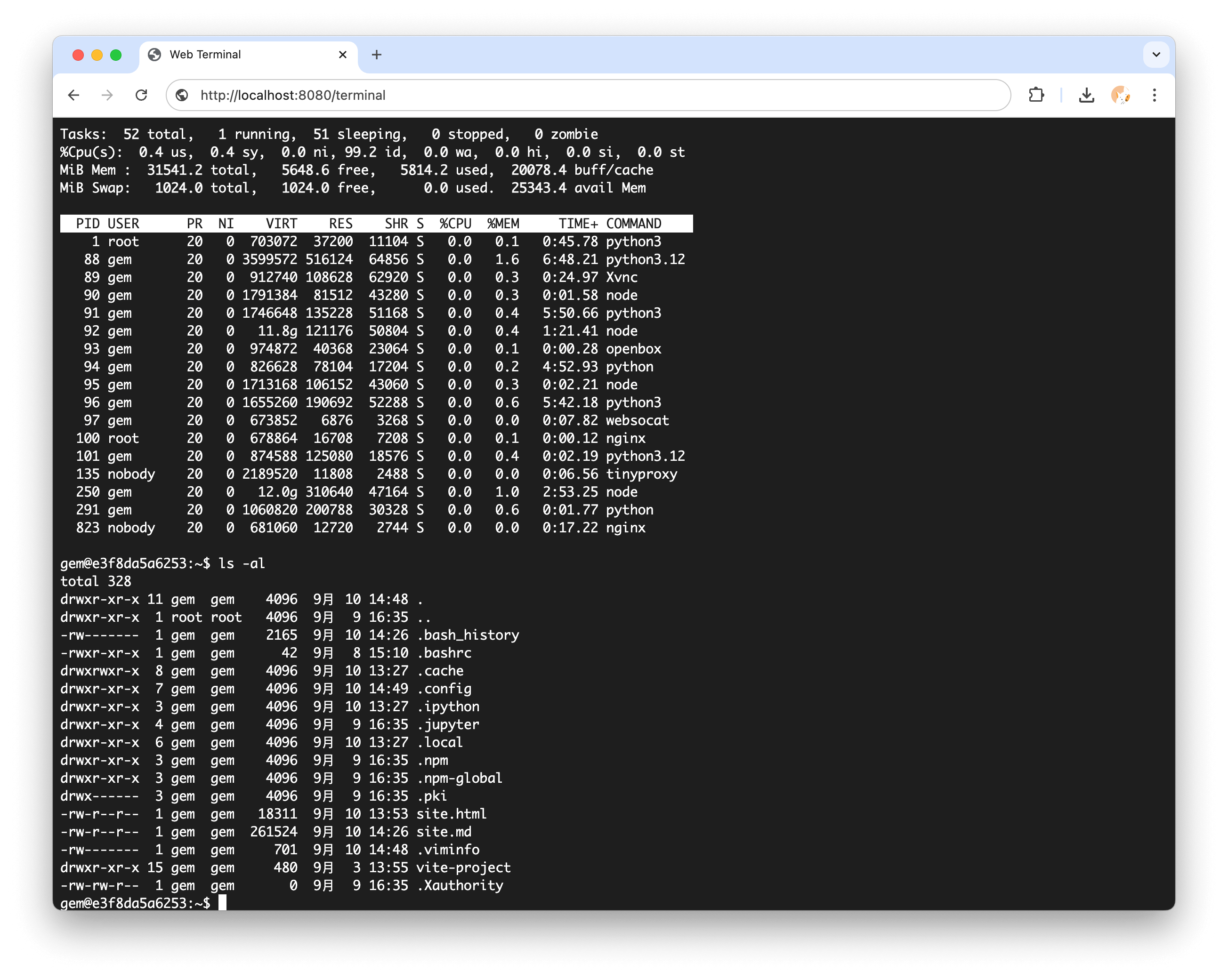 Web terminal at localhost:8080/terminal running top inside the container, with PID 1 owned by root running python3, nginx and tinyproxy processes visible, and an ls -al listing of the gem user home directory